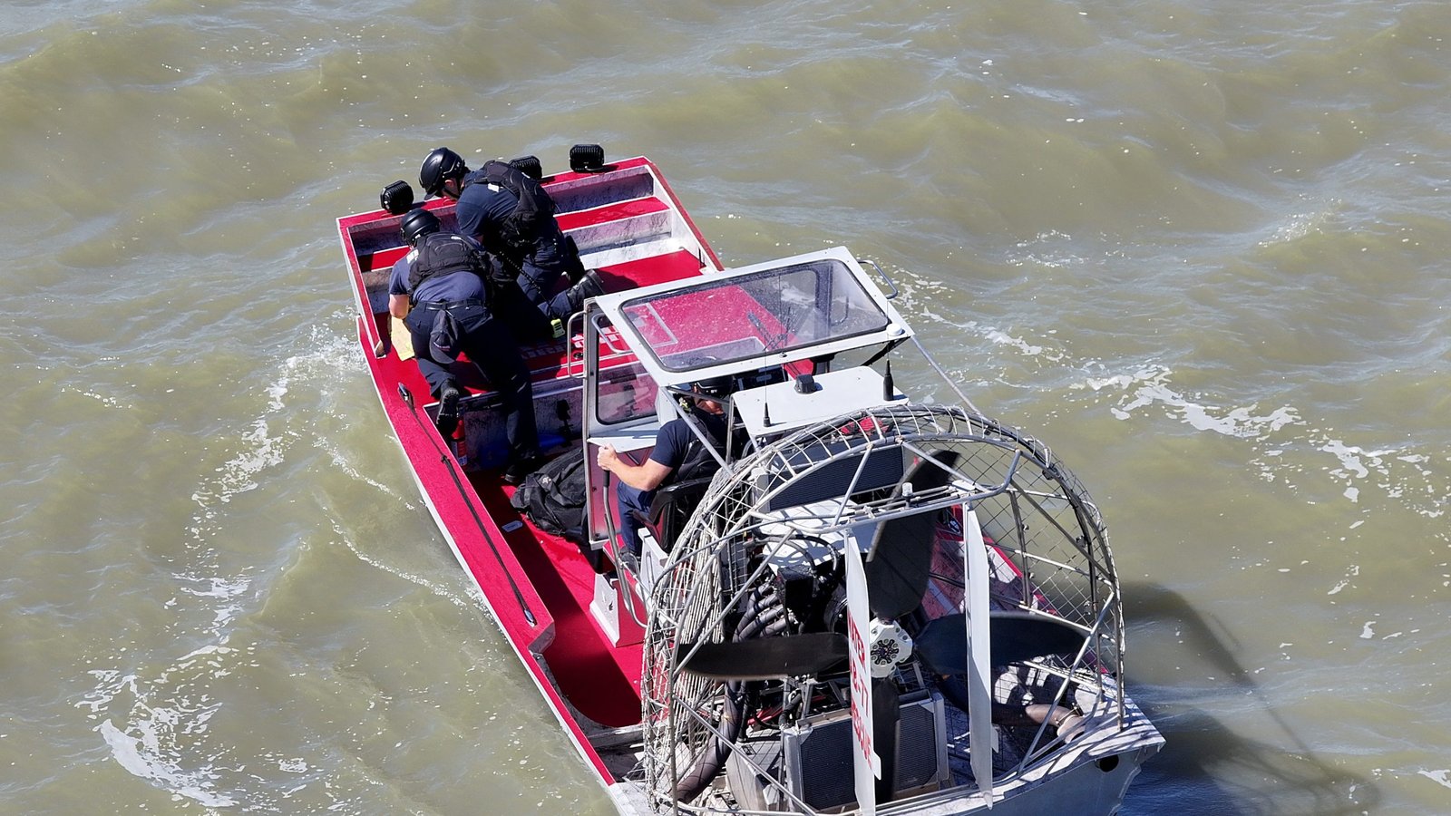 A Missing Dog Swam Half a Mile Into San Francisco Bay, Fought Off Seagulls, and Got Rescued by Four Different Agencies