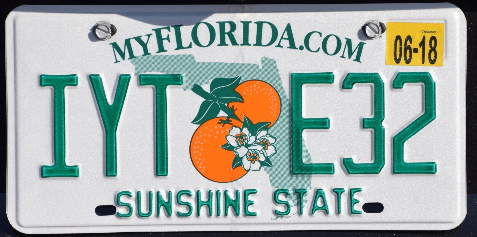 She Opened Her Mail, Found “SQZ A55” on a License Plate, and Accidentally Became Florida’s Favorite Grandmother