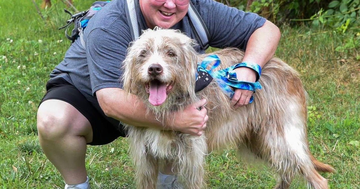 He Spent 7 Years Waiting in a Maryland Shelter. It Took One Woman 7 Months of Patient Visits to Finally Bring Him Home