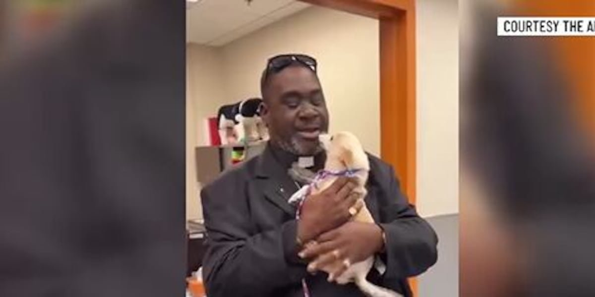 Fireworks Sent Princess the Dog Running on the 4th of July — a Microchip Brought Her Home the Next Day
